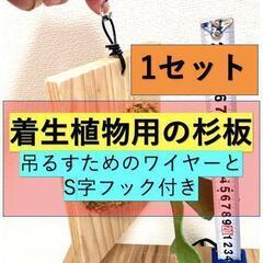 【ビカクシダなど着生植物用】杉板1枚（吊るすためのワイヤーとS字...