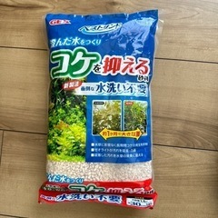 メダカ 砂利