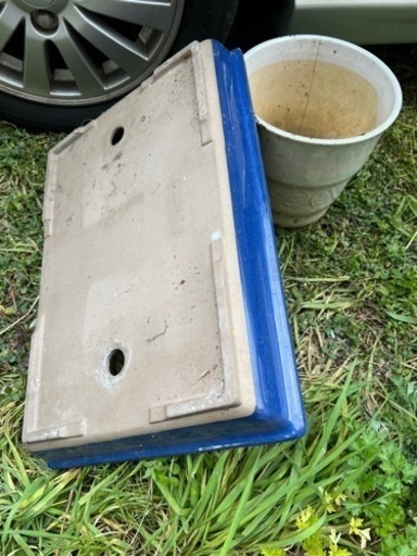 盆栽鉢　寄せ植え　（海鼠）