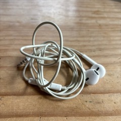 『受け渡し決定』レア出品　Apple純正品　iPhone 有線　...