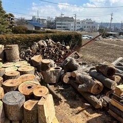 玉切ケヤキ各種　の画像