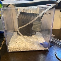 メダカ飼育セット