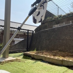 スマートトライク  三輪車の画像