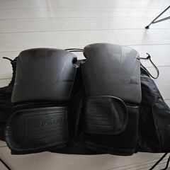 BODYMAKER サンドバッグ スタンディングバッグ ボディメーカー グローブの画像