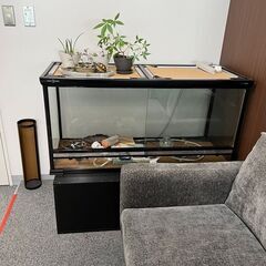 差し上げます。　亀の飼育ケース等