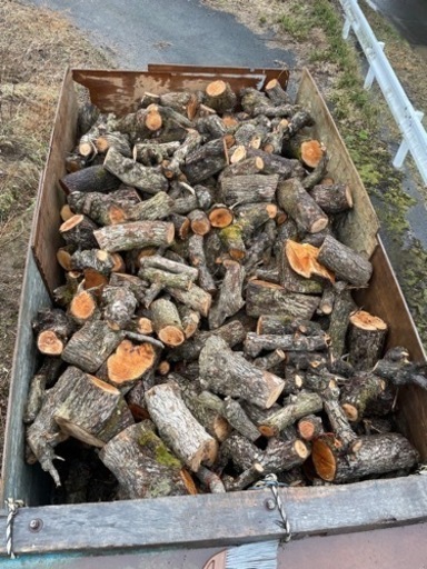 梨の木　薪　玉切り　④