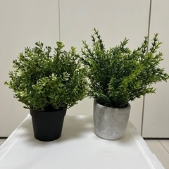 ※決まりました※フェイクグリーン　セット