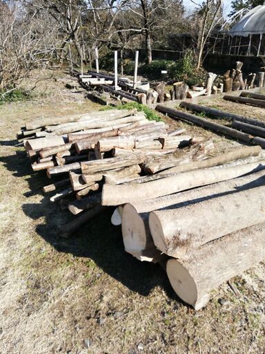 薪などに　広葉樹の原木