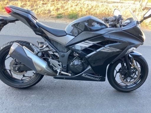 ニンジャ 250