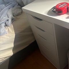 LAGKAPTEN ラグカプテン / ALEX アレクスの画像