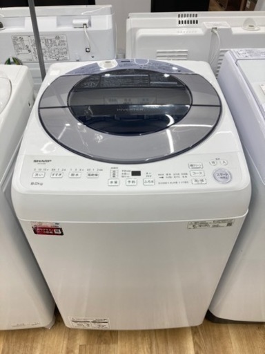【トレファク高槻店】安心の1年間保証！取りに来られる方限定！SHARP（シャープ）の全自動洗濯機のご紹介です！