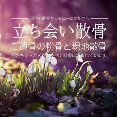 【秋田県の方必見！】費用をかけずに墓じまいと散骨の方法教えます！！ - 冠婚葬祭