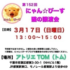 3月17日(日)🌸にゃん☆ぴーす猫の譲渡会🌸「アトリエTOM」J...