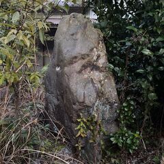庭石 多数
