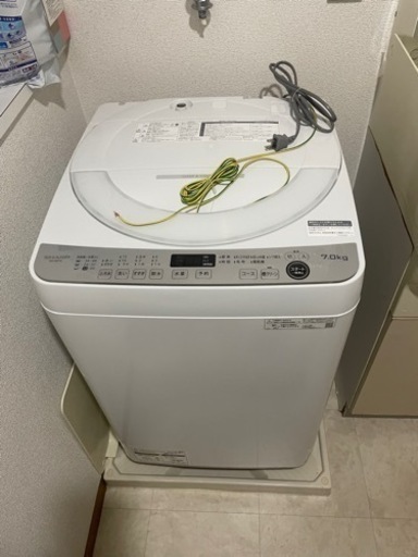 家電 生活家電 洗濯機