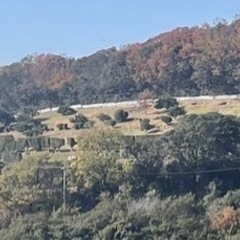 一緒にキャンプ場作りませんか？