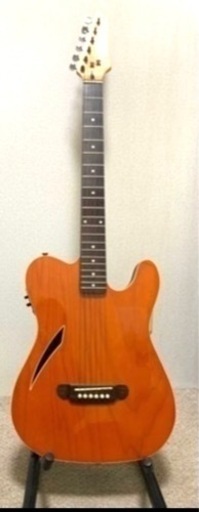 グラダス　エレクトリックアコースティックギター