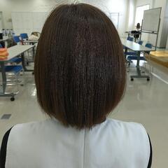 無料カットモデル