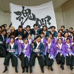 学生・社会人混合よさこいサークル 魂響 - スポーツ