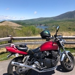 プリティーレーシングの画像