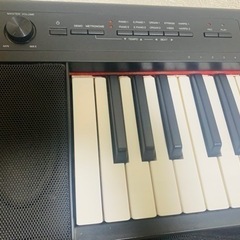 YAMAHA NP-32