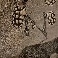 44 益子焼 勿来釉 飾り皿　文八窯 の画像