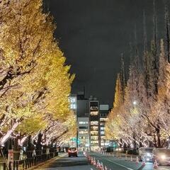 お話し同行者何でも話せる方募集