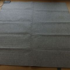 受け渡し者が決まりました【０円】押入れから出てきたホットカーペッ...