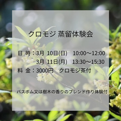 クロモジ蒸留体験会　3月10日　3月11日の画像