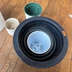 鉢植えの画像