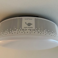ポップinアラジン2の画像
