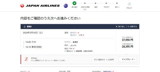 大分→東京/羽田　3月16日片道ペアチケット（大人1名、小児1名）