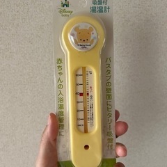 湯温計‼️新品未使用