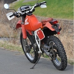 XLR250R　MD22　程度良好　前後タイヤ新品　埼玉新座発　近隣配送無料の画像