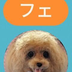 羊毛フェルトAtelier★犬犬の画像