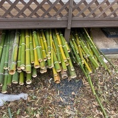 【決まりました】カット青竹を無料で