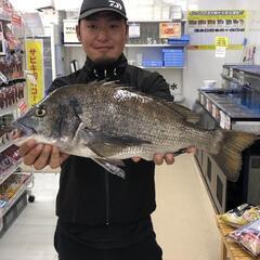 釣り仲間募集です！