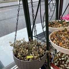 コインランドリーしゃぼん　チャリティー品