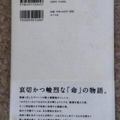  『KAGEROU』 齋藤智裕( 水嶋ヒロ)  第5回ポプラ社小説大賞受賞作品の画像