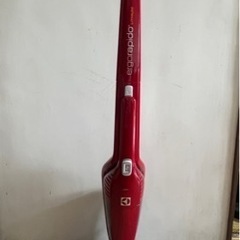 家電 生活家電 掃除機