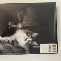 猫の図鑑・図鑑・猫グッズ・写真集の画像