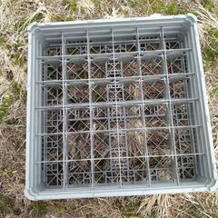 無料　中古　コップパレット　１２個の画像