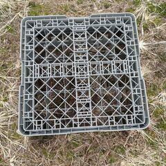 無料　中古　コップパレット　１２個の画像