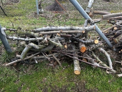 薪としてどうですか？