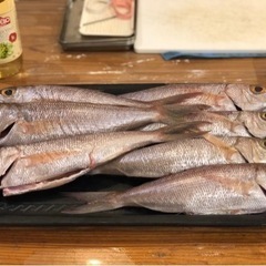 魚料理教室　さばきかたからカルパッチョの作り方の画像