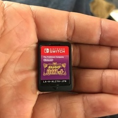 おもちゃ ポータブルゲーム ニンテンドーSwitch  カセット