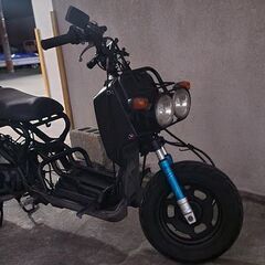 Honda Zoomer/ホンダ ズーマー
