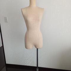 【引渡済】上半身トルソー(女性)