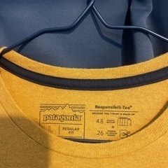 パタゴニアロンT(Lサイズ)の画像