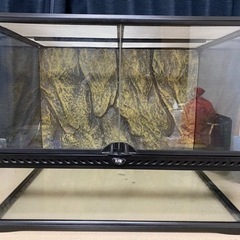 爬虫類ゲージ